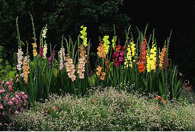 《潜行者2》动画工具包MOD发布 游戏拥有更多可能